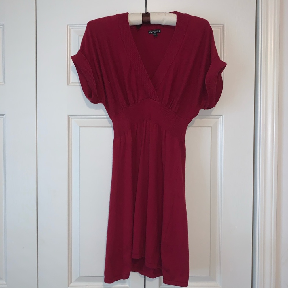 Express Sweater dress